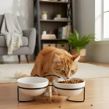 Load image into Gallery viewer, Elevated Ceramic Cat Bowls with Metal Stand
