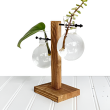 Load image into Gallery viewer, Wooden Frame Hydroponic Plant Vase
