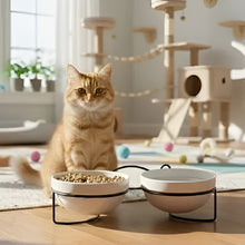 Load image into Gallery viewer, Elevated Ceramic Cat Bowls with Metal Stand
