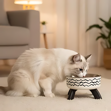Load image into Gallery viewer, Raised Cat Bowl for Comfortable Digestion
