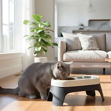 Load image into Gallery viewer, Elevated Cat Bowl, Non-Slip Stainless Steel Feeding Dish
