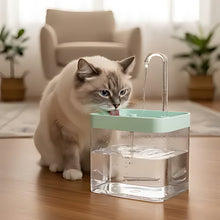 Load image into Gallery viewer, Cat Water Fountain, Silent Multi-Layer Filtration
