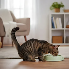 Load image into Gallery viewer, Cat Slow Feeder Bowl For Anti-Choking And Easy Digestion
