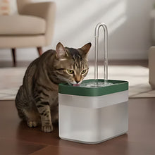 Load image into Gallery viewer, Cat Water Fountain, Silent Multi-Layer Filtration

