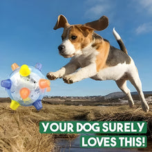 Load image into Gallery viewer, New Jumping Activation Ball For Dogs
