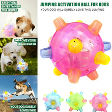 Load image into Gallery viewer, New Jumping Activation Ball For Dogs
