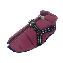 Load image into Gallery viewer, All-Weather Insulated Dog Jacket with Built-in Harness
