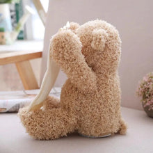 Load image into Gallery viewer, Interactive Peekaboo Teddy Plush Toy with Voice and Movement for Babies
