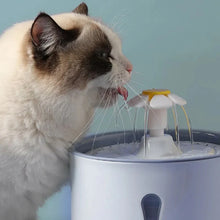 Load image into Gallery viewer, Cat Water Fountain, Automatic Filtered Drinking Dispenser
