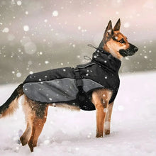 Load image into Gallery viewer, Belgian Malinois Dog Coat Waterproof and Windproof
