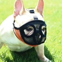 Load image into Gallery viewer, French Bulldog Muzzle Adjustable Mesh Design
