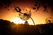 Load image into Gallery viewer, Metal Fairy Garden Stake with Dandelion Accents and Ground Pole, 28 Inch
