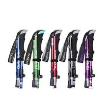 Load image into Gallery viewer, Adjustable Trekking Poles - Foldable Telescopic Pole
