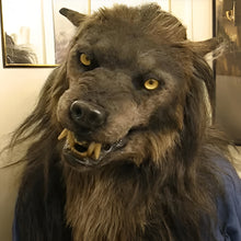 Load image into Gallery viewer, Scary Wolf Mask - Costume Mask for Halloween Masquerade Party
