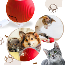 Load image into Gallery viewer, Smart Interactive Cat Ball Toy with Motion Sensor and USB Charging
