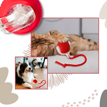 Load image into Gallery viewer, Smart Interactive Cat Ball Toy with Motion Sensor and USB Charging
