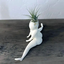 Load image into Gallery viewer, Spooky Shape Air Plant Display - SpookyBuddy-Nora Luxe
