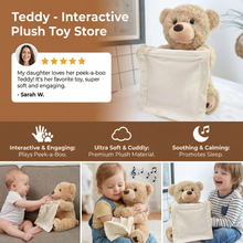Load image into Gallery viewer, Interactive Peekaboo Teddy Plush Toy with Voice and Movement for Babies
